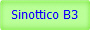 Sinottico B3