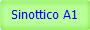 Sinottico A1