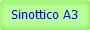 Sinottico A3