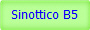 Sinottico B5